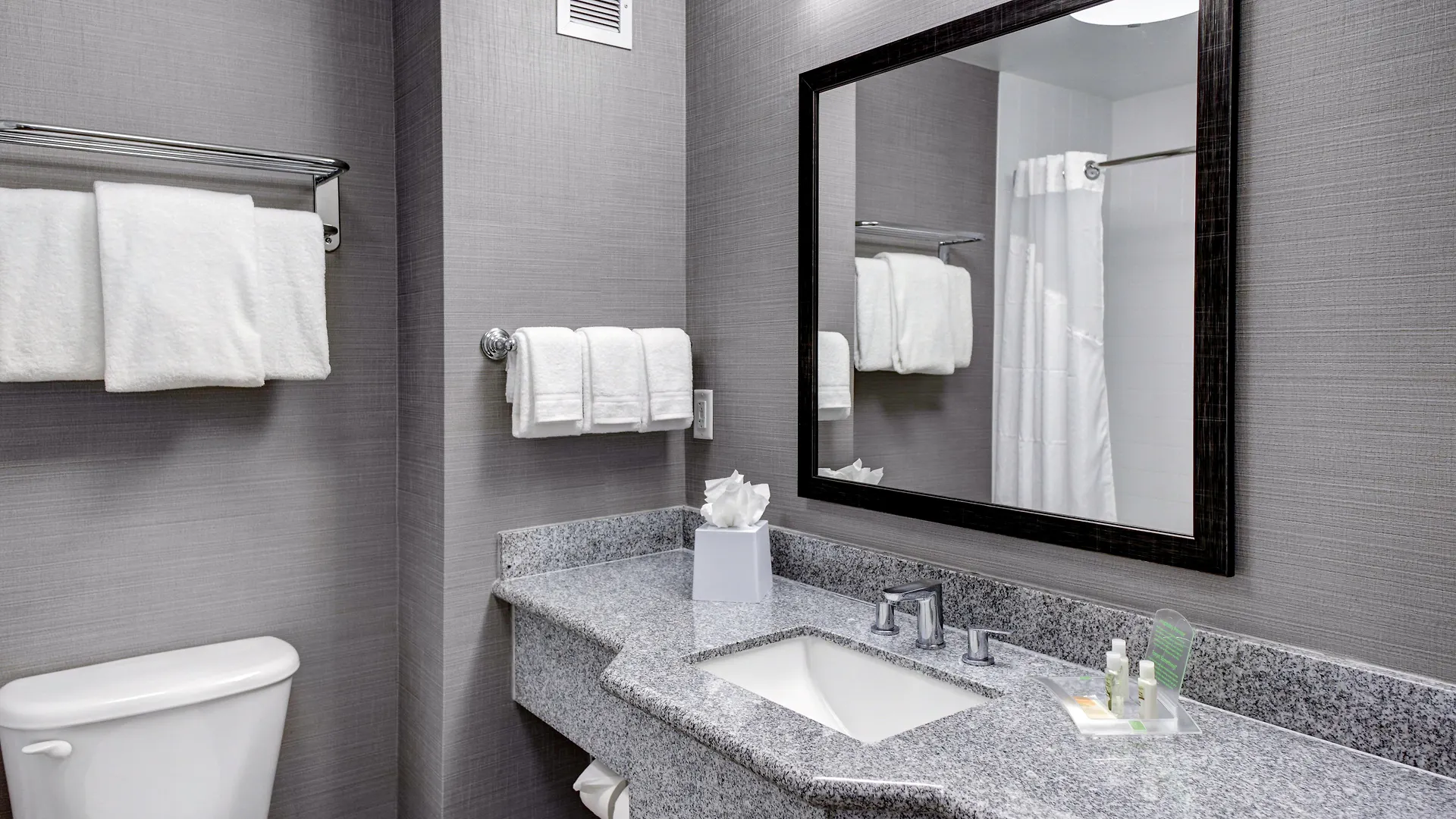 Hotel Holiday Inn Savannah Historic District By Ihg